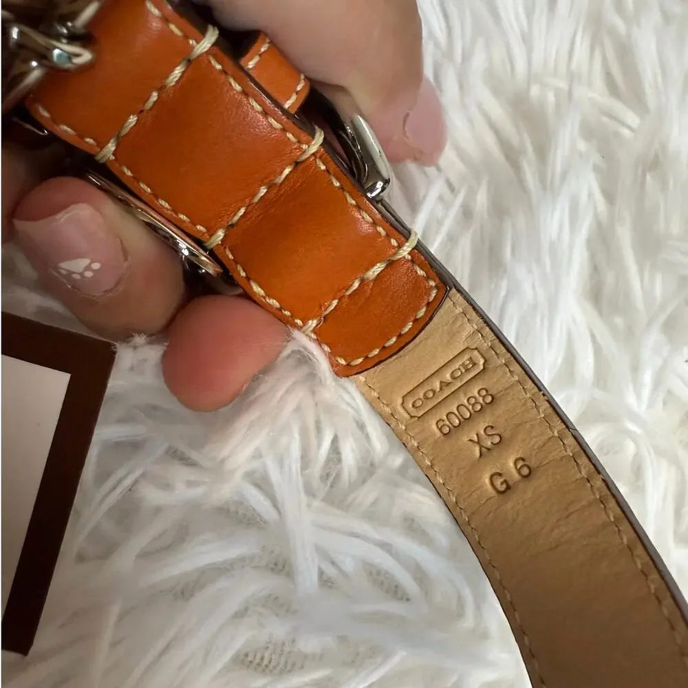 NWB COACH Legacy Stripe Leather Dog Collar XS w COACH Charm Limited Ed Rare